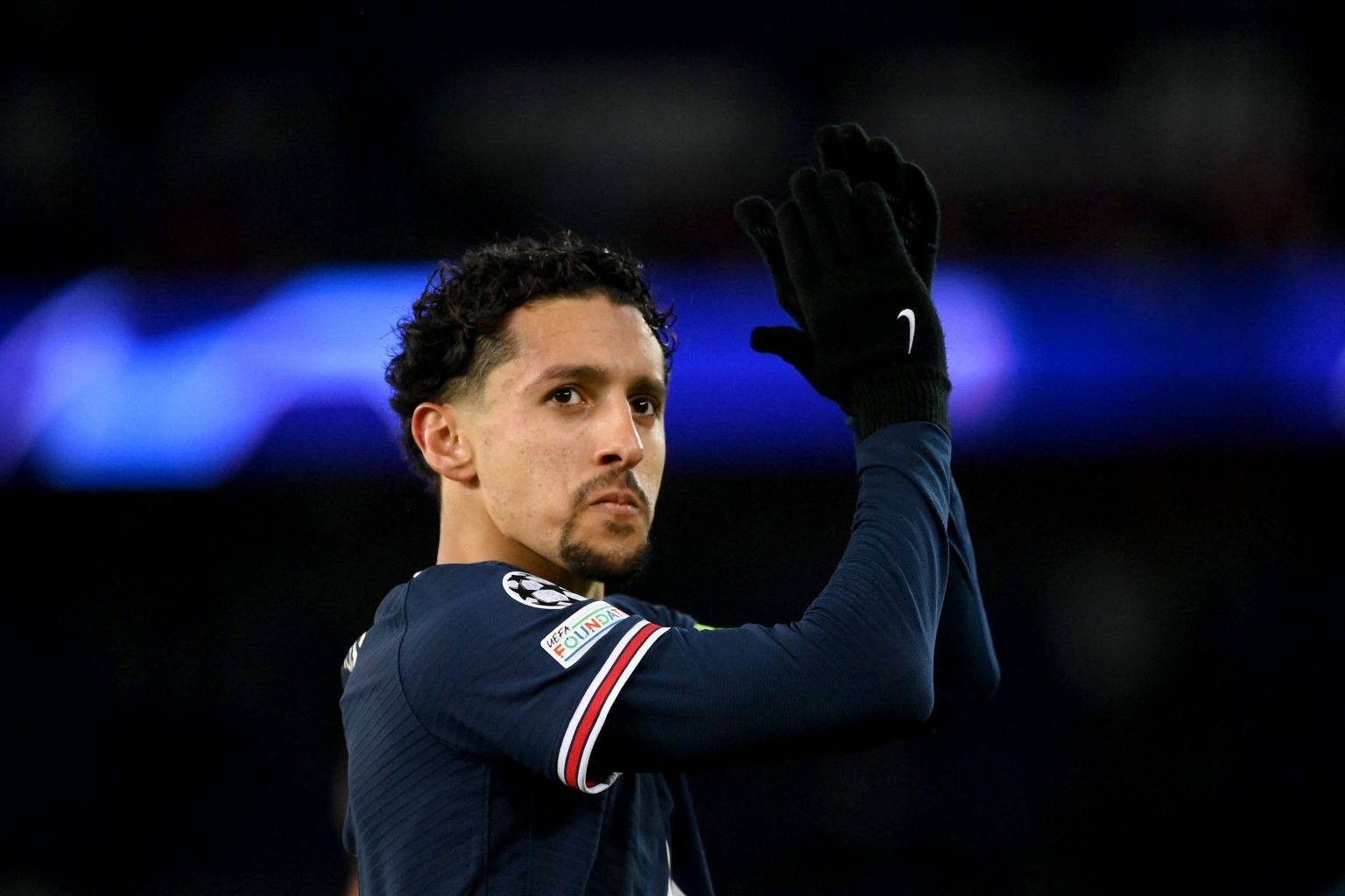 炉膛一体动物油熬练直烧锅