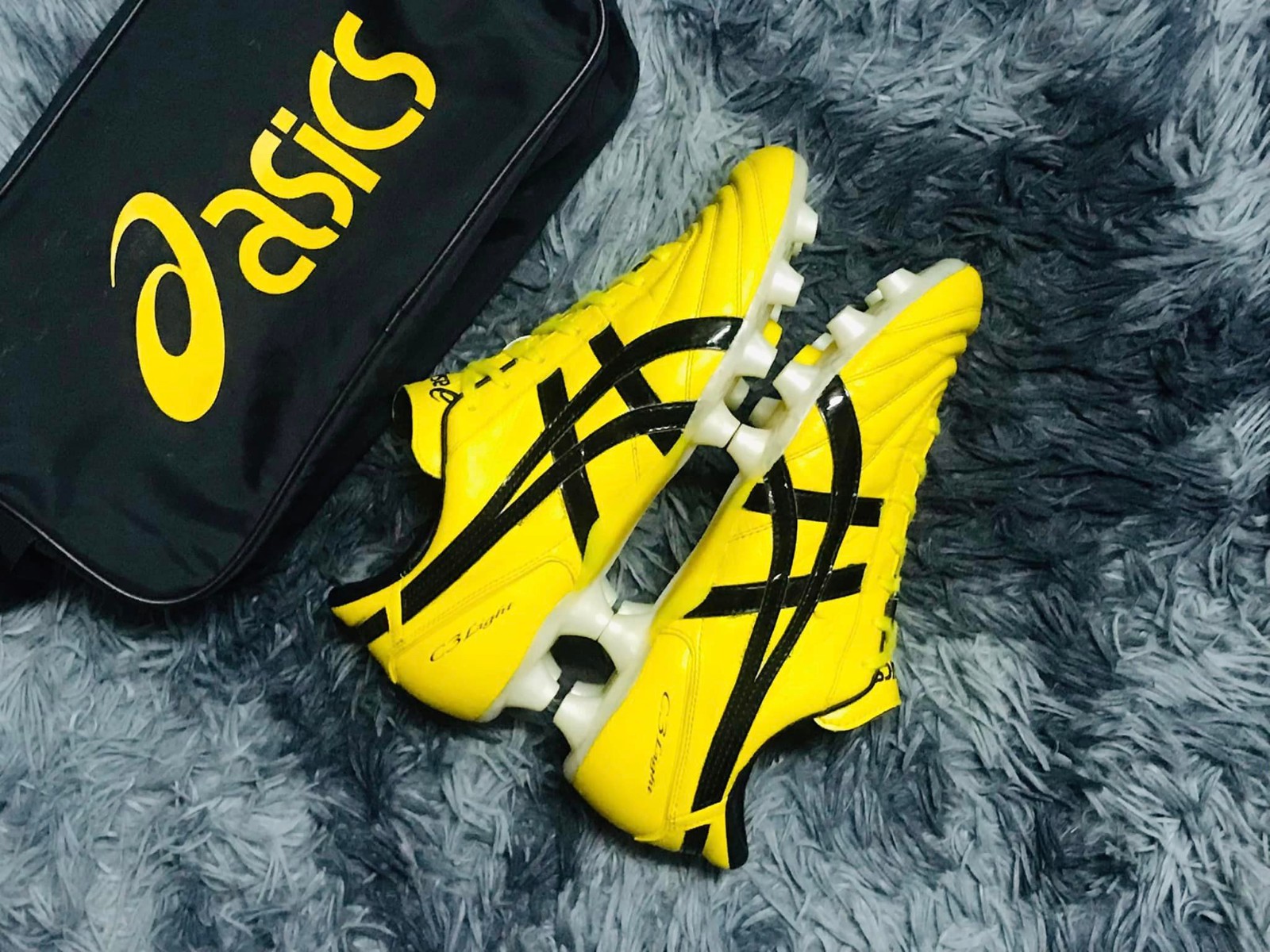 炉膛一体动物油熬练直烧锅