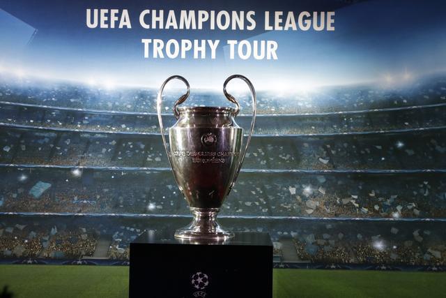 炉膛一体动物油熬练直烧锅